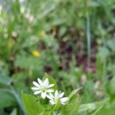 수락폭포 펜션 이미지