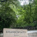 그랜드하얏트서울 | [호캉스] 프리즘 예약으로 다녀온 그랜드 하얏트 서울 후기｜남산뷰 레이트체크아웃 호캉스 솔직 리뷰