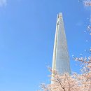 석촌호수어린이집 | 석촌호수 벚꽃 구경 산책 늦은 후기
