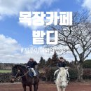 만석목장 | 제주 아이와 가볼만한곳 목장카페밭디 성산승마와 이색자전거체험 만족도100%