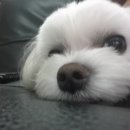 건후농장 이미지