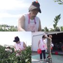 정동식농장 OSEN