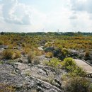 약천 산책로 이미지