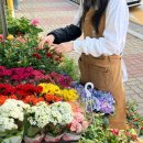 창조꽃집 이미지