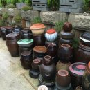 그옛날 토종닭 이미지