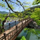 남강여관 | 함양 화림동 계곡 거연정 - 여행일 : 24.04.27.토 [부산갈매기]