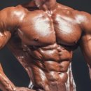 퍼스트 휘트니스 이미지