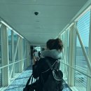 세계사신발백화점 | 엄마랑 유럽여행 [파리 1]