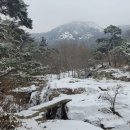 시서화(詩書畵)와 함께 하는 서촌-백석동천-세검정