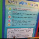 팀식스아쿠아키즈 이미지