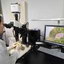 농림축산검역본부 (농림축산검역본부장) 이미지