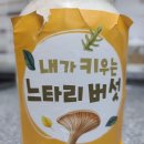 지혜반-홍성원 버섯키우기~^^ 이미지