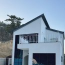 숲결1