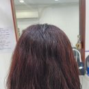 에스에스헤어(S.S) 이미지