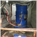 대형약품 이미지