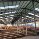 강진목장 이미지