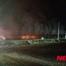 시골흑염소 이미지