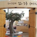 속초시립박물관 이미지