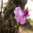 봄과가을이 이미지