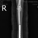 CM 동물병원 이미지