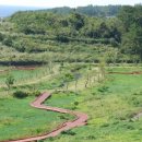 바닷가돌빌레 이미지