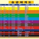 국가대표 태권스쿨 태권도장 이미지
