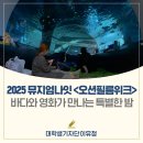 뮤지엄필름