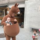 머리자를래