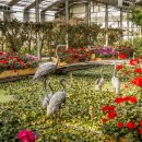 아산만로 이미지