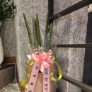 뚜레쥬르영주가흥제일점