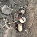 (주)소리안 이미지