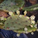 행복농장 5 이미지