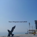 해수욕장10길 이미지