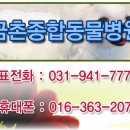 금촌종합동물병원
