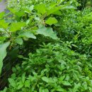 진량정형외과의원 이미지