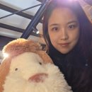 보은당약국 | 나고야 지브리파크 꿀팁 정리: 티켓예매, 입장시간, 코스, 기념품샵