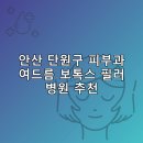 안산 단원구 피부과 병원 추천 여드름 보톡스 필러 리스팅후기 TOP5 추천하는곳
