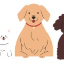 마스코타 펫 이미지