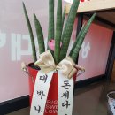 천억공인중개사사무소 이미지