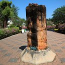 기석농장 이미지