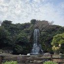 제주 보고정 투어 | 제주도 카니발 투어 부모님 동행 이동 부담 줄였던 제주 여행 후기