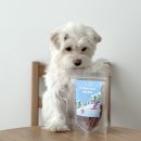 캘리포니아뽀삐 강아지 수제간식 추천 <b>비커밍</b><b>스튜디오</b>