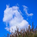 구름바람 이미지