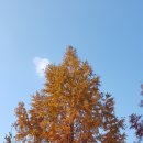 신동-33 이미지