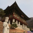 솔숲갈래길 이미지