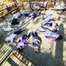 행복저장소 이미지