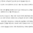 루프트한자 항공기 지연 보상 받은 후기