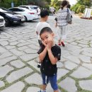 화수목 농원 이미지