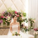 데이웨딩플랜