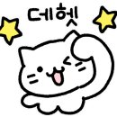 파주고양이 미용실 이미지